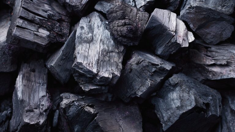 Close-up of burned charcoal pieces in dark and gray tones