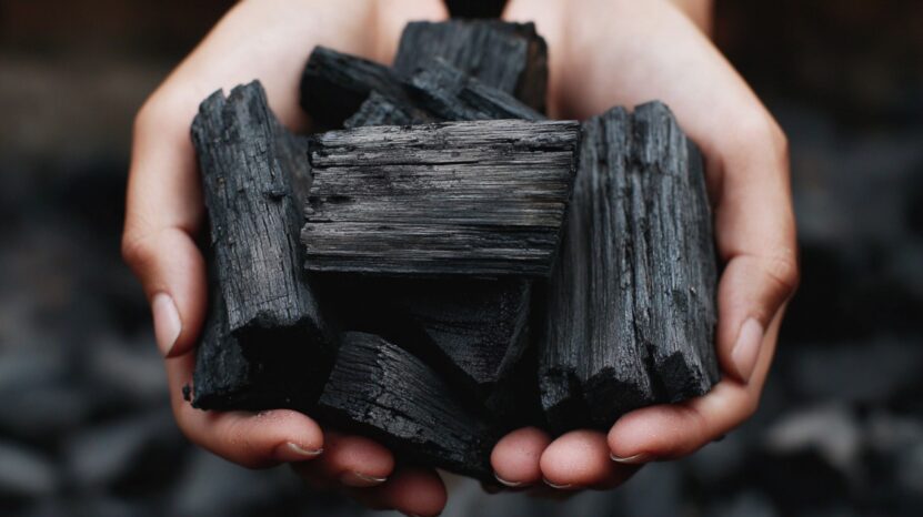 Hands holding several pieces of black charcoal